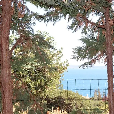 Armonia Salanti * Κοιλάδα